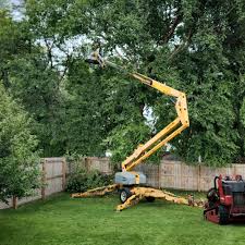 Best Leaf Removal  in Cobb Island, MD